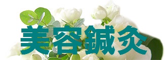 美容鍼灸